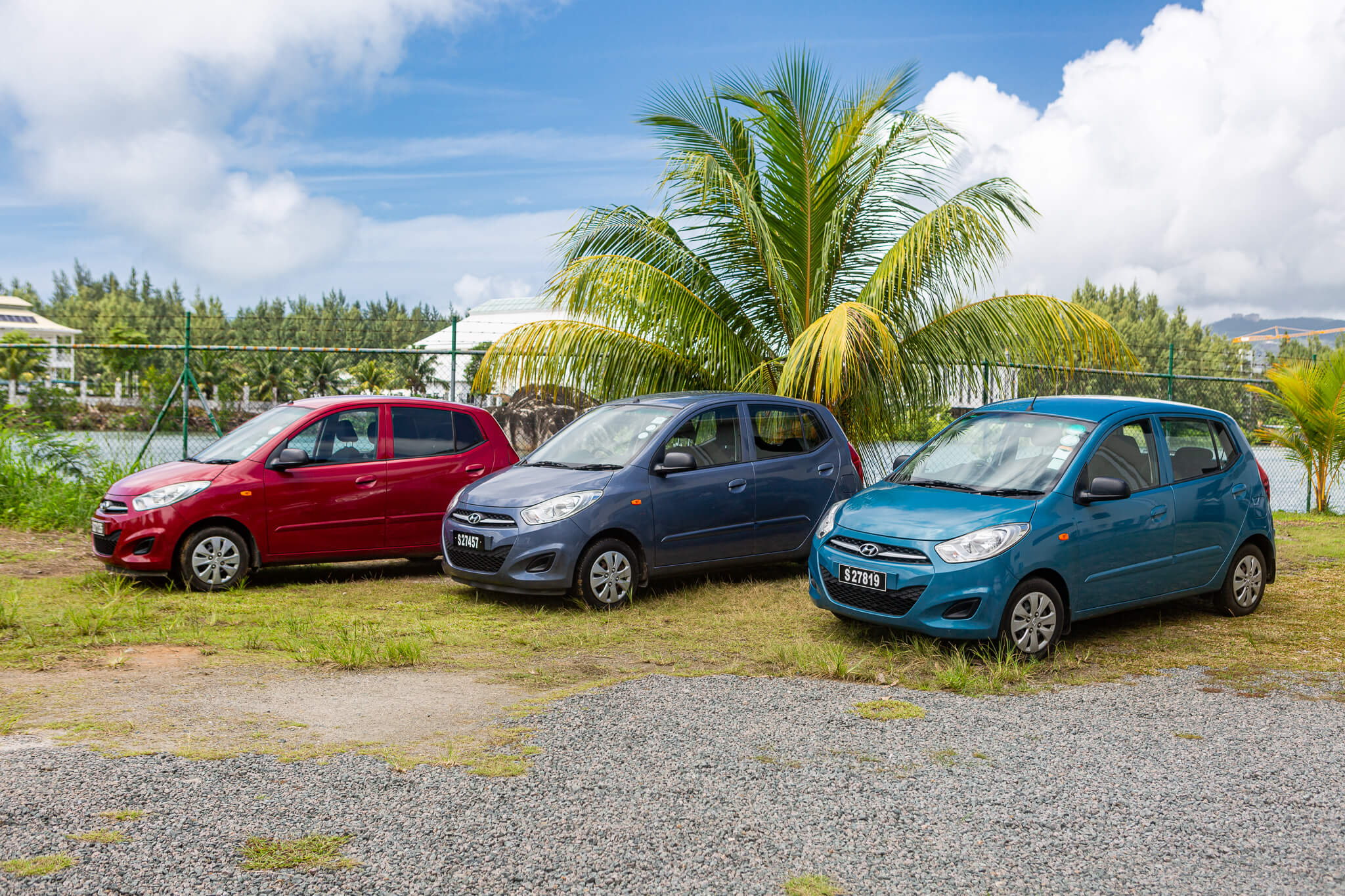 Seychelles. The road to pal..." by Igor Chaikovsky - Mostphotos
